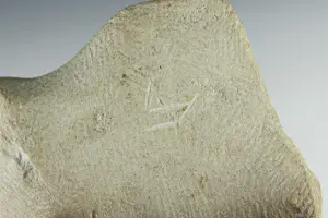 Anton Geerlings - Hardstenen gepolijst beeld - geabstraheerd figuur kopen? Bied vanaf 75!