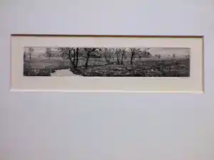 Reinder Homan - Landschap met beek - Ets vendu pour 75€ !