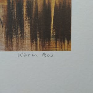 Karin Bos - Appearance / Disappearance kopen? Bied vanaf 15!