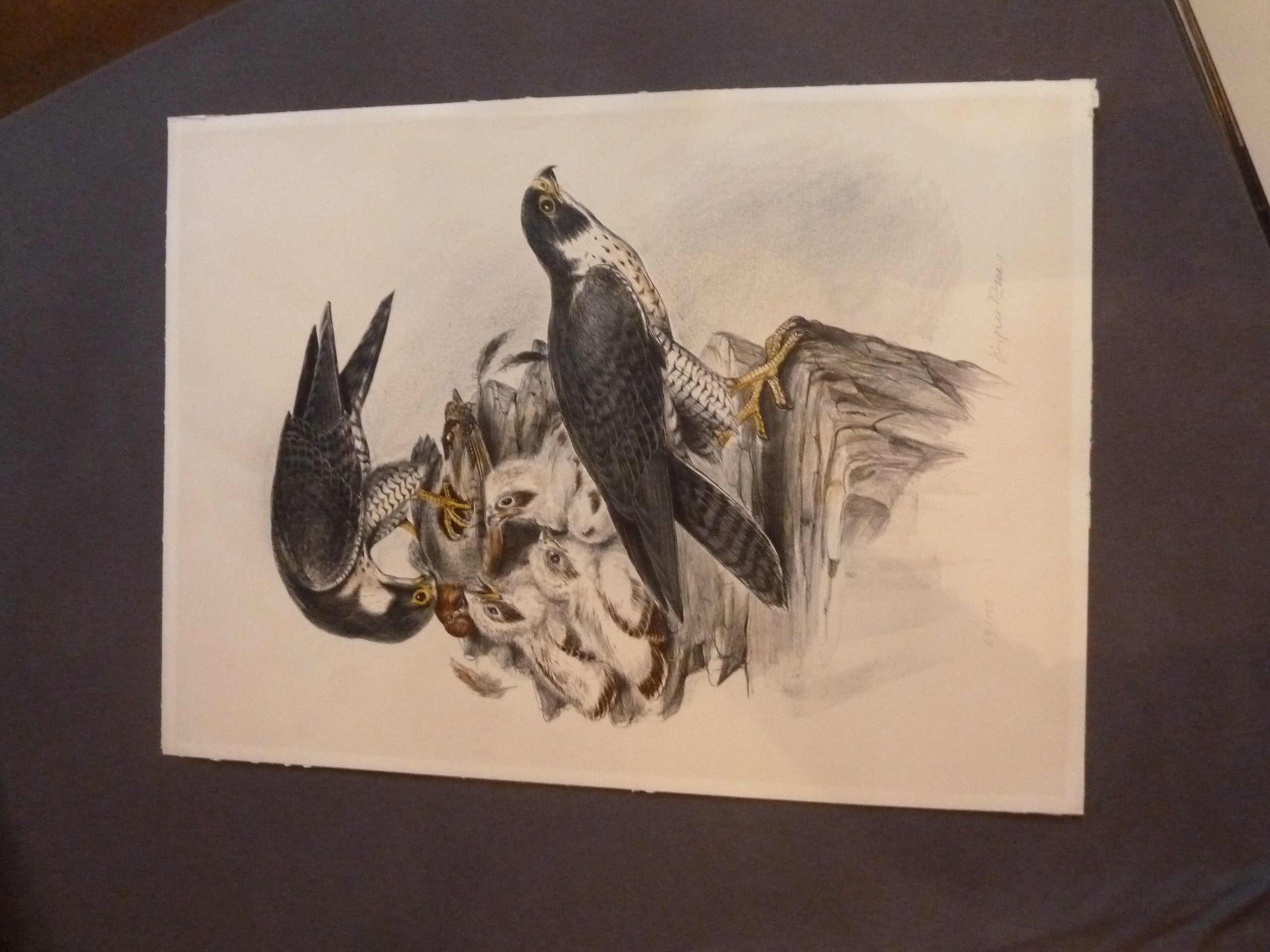 Jürgen Ritter (1925-2010)