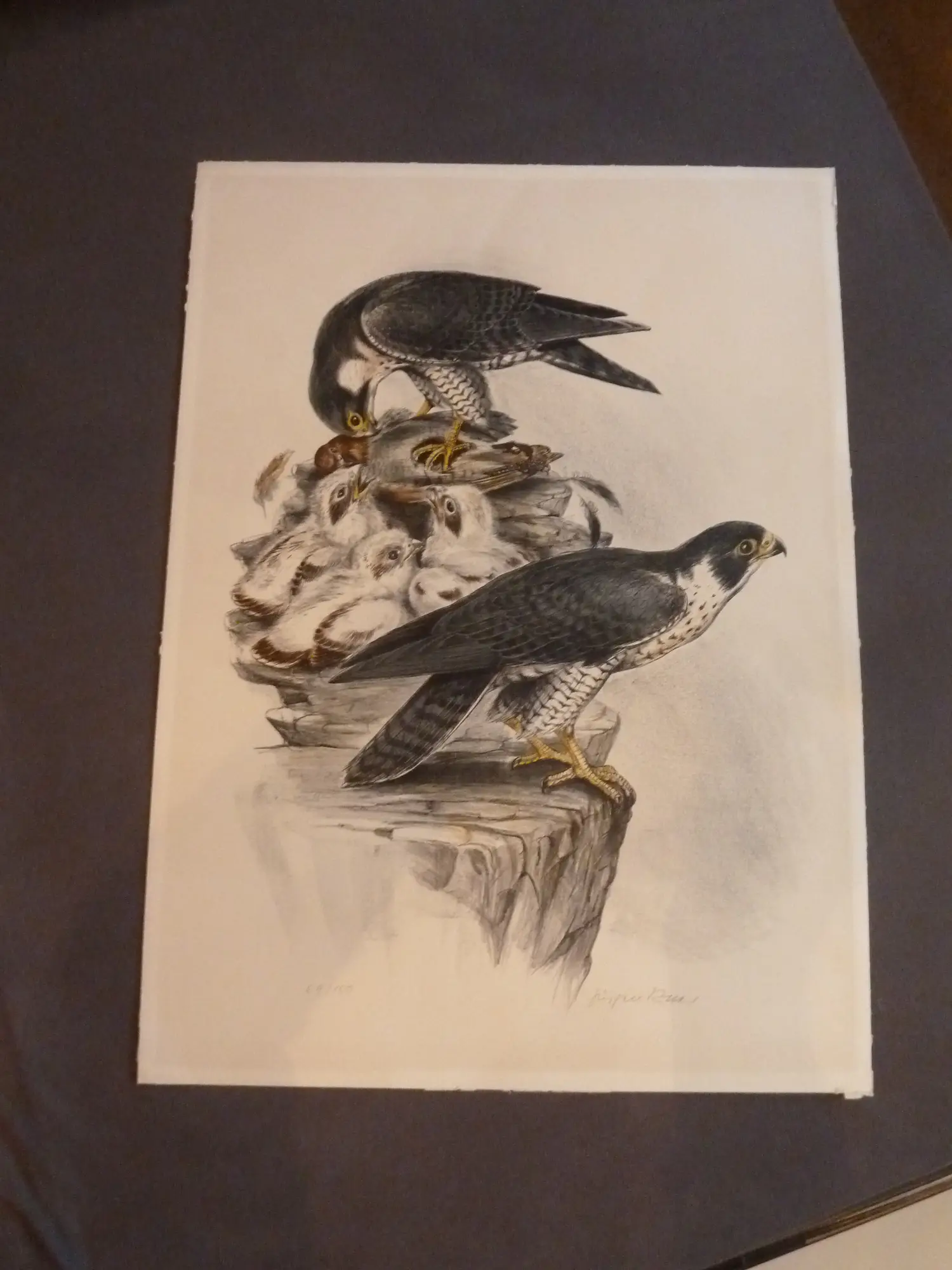 Jürgen Ritter (1925-2010)