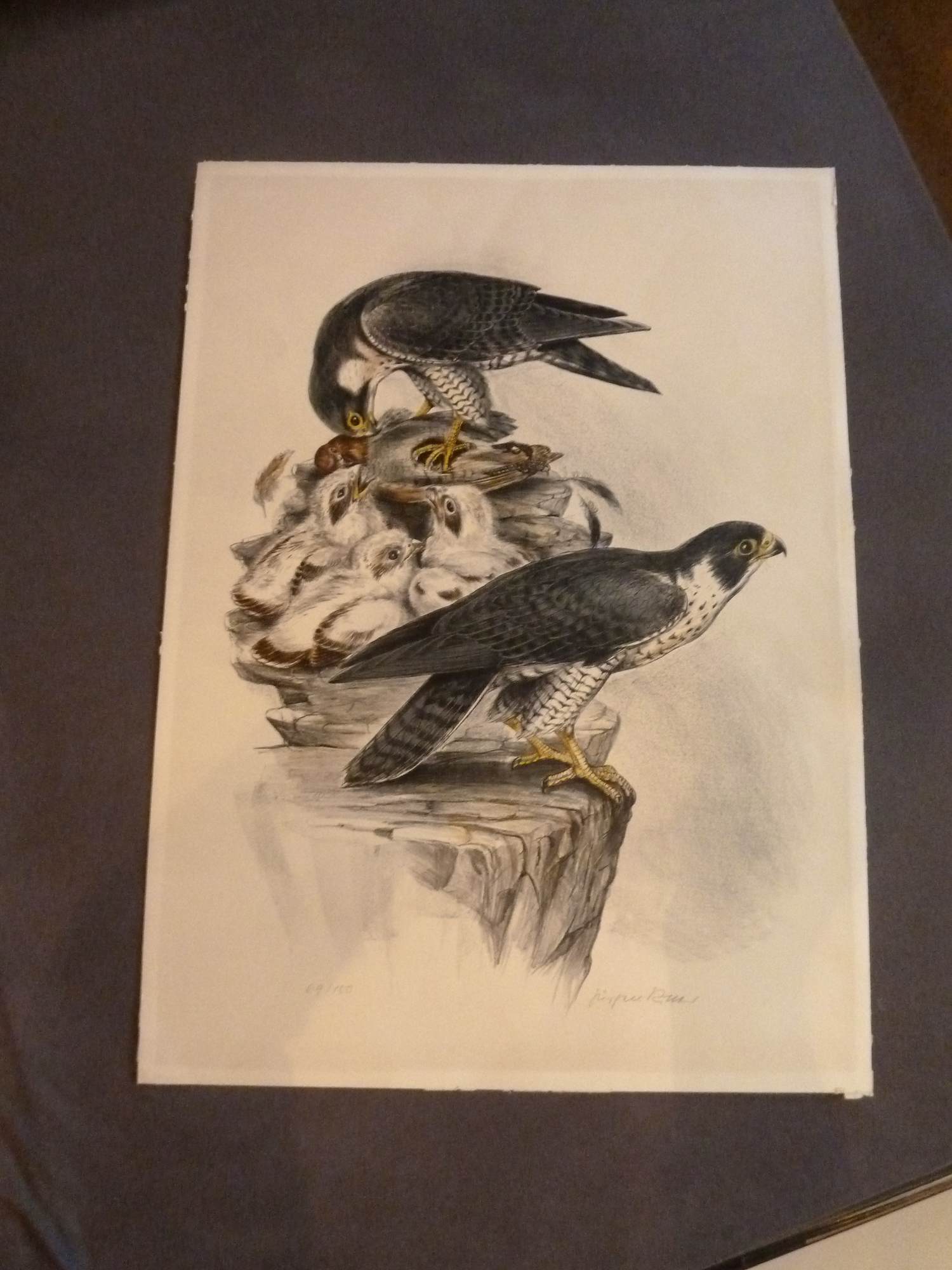 Jürgen Ritter - Falkenhorst kopen? Bied vanaf 20!