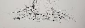 Marc Mulders - Anatomie VI (6) - Marc Mulders, Paul van Dongen en Reinoud van Vught, kopen? Bied vanaf 175!