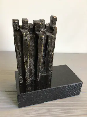 Frans Steginga - “ Samen sterk staan “ kopen? Bied vanaf 75!