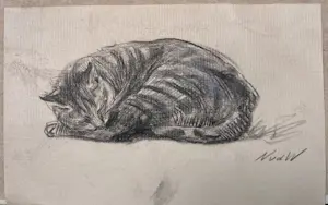 Nicolaas van der Waay - Tekening van een slapende kat kopen? Bied vanaf 60!