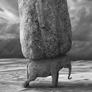 Dariusz Klimczak - 'Relativiteit' (2013) kopen? Bied vanaf 80!