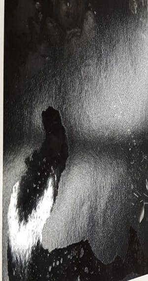 Erwin Olaf - C-Print, Esmeralda, uit de serie 'Blacks' kopen? Bied vanaf 400!