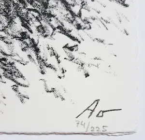 Armando - Zichzelf, uitgave met 2 genummerde litho’s kopen? Bied vanaf 250!