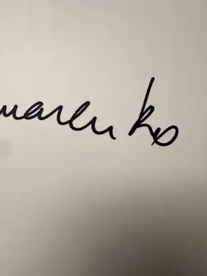 Panamarenko - Thermo Voltaic Energy convertor - Zonneauto kopen? Bied vanaf 690!