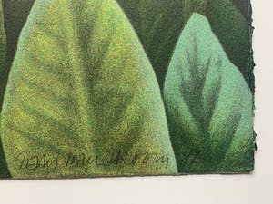 Jean Paul Vroom - kleurenlitho - 'Mei-vallei Praslin' - 1986 kopen? Bied vanaf 100!