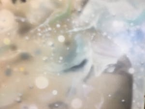 Elzo Dibbets - Marion II / Origineel op paneel / 1982 kopen? Bied vanaf 250!