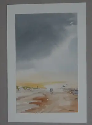 Franklin Meijer - Texel - 4 x aquarelstudies kopen? Bied vanaf 35!