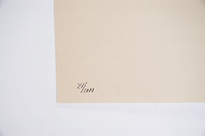 Jeroen Henneman - Koningin Beatrix, gesigneerde zeefdruk in 5 drukgangen, 2001 kopen? Bied vanaf 140!