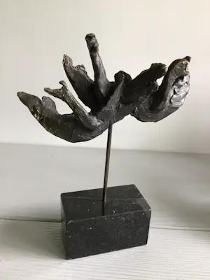 Bernadette Leijdekkers - “ Wilde Zwanen “ zeldzaam kopen? Bied vanaf 99!