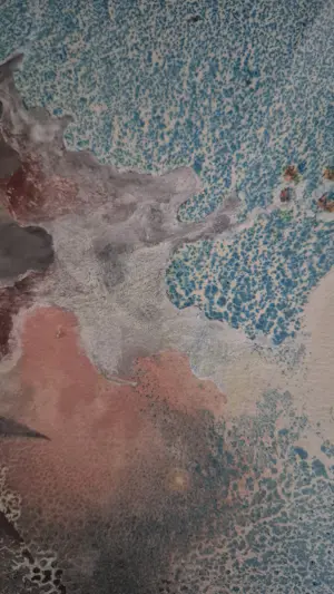 Bas Haasnoot - Steltloper kopen? Bied vanaf 20!