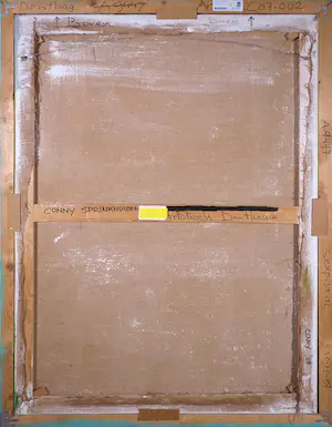 Conny Sprinkhuizen - Acrylverf op doek, Sexpistol - Ingelijst (Groot) kopen? Bied vanaf 1!