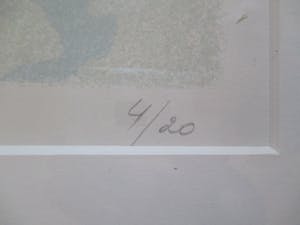 Carmi Butteling - ingelijste litho kopen? Bied vanaf 1!