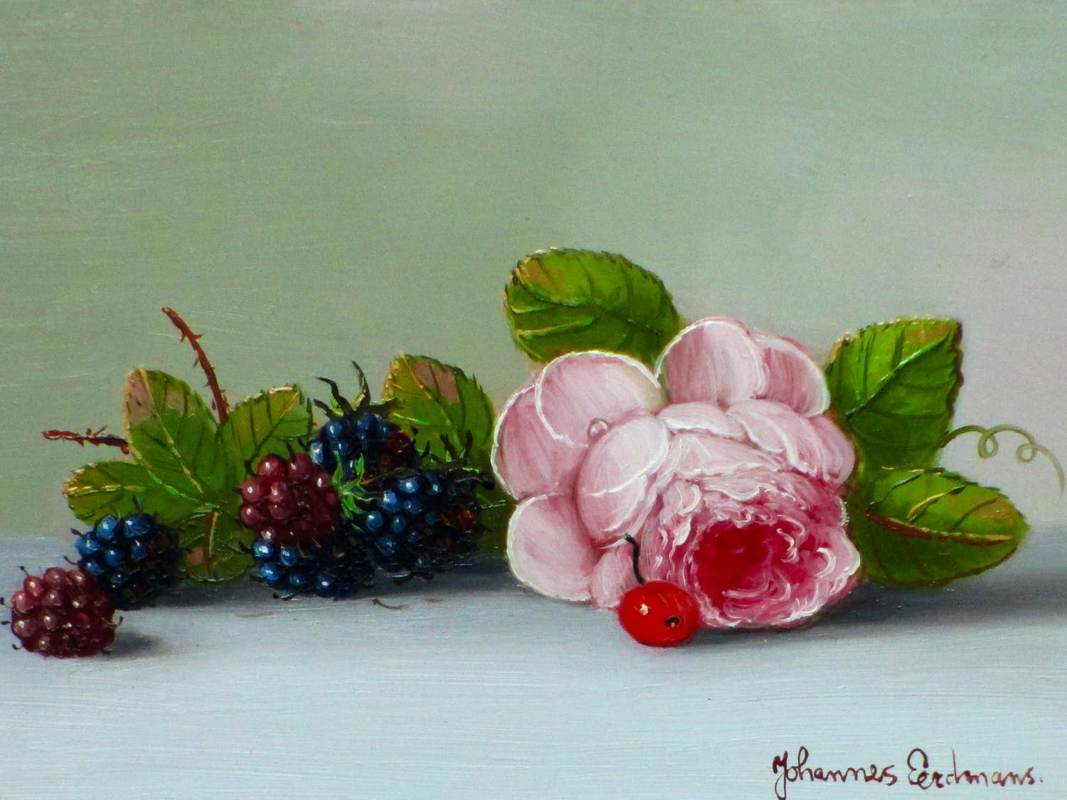 Johannes Eerdmans - Stilleven met fruit en roos - Olie op paneel verkocht voor € 175!