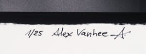 Alex Vanhee - Foto, Nick Cave kopen? Bied vanaf 120!