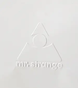 Mr Strange - Dive In! Boys! kopen? Bied vanaf 80!