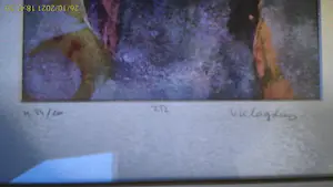Viviane Klagsbrun - LITHO NOSTALGISCH KOPPEL kopen? Bied vanaf 25!
