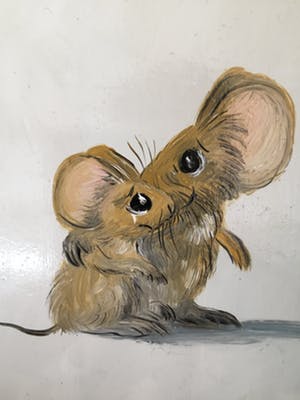 Henk Poeder - Muisjes kopen? Bied vanaf 69!