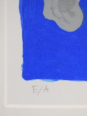 Ronald Boonacker - Aruba kopen? Bied vanaf 50!