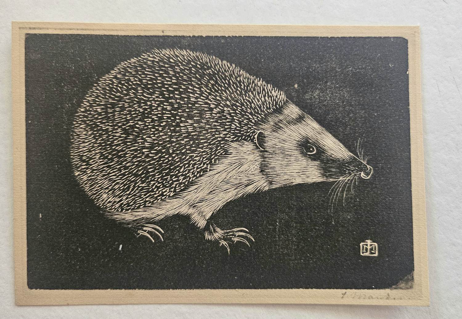 Jan Mankes - een egel kopen? Bied vanaf 50!