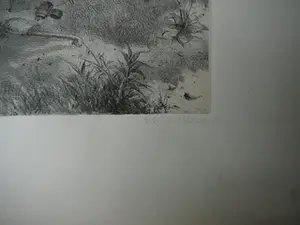 Carl Wilhelm Mieling - Naar de natuur kopen? Bied vanaf 20!