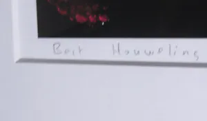 Bert Houweling - Foto, Roos 17 - Ingelijst kopen? Bied vanaf 1!