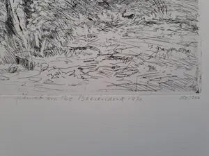 Theo Beerendonk - Duinlandschap kopen? Bied vanaf 25!