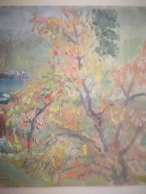 Klaas de Poel - Boten. Oever met treurwilg. kopen? Bied vanaf 49!