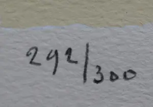 Kees Salentijn - Zeefdruk -1997 kopen? Bied vanaf 55!