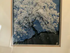 Arie Zonneveld - Bloesemboom kopen? Bied vanaf 50!