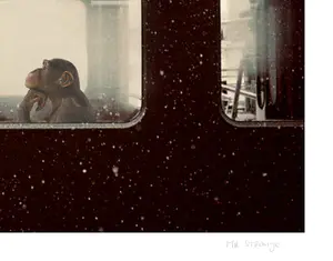 Mr. Strange - To Be or not to Be II kopen? Bied vanaf 85!