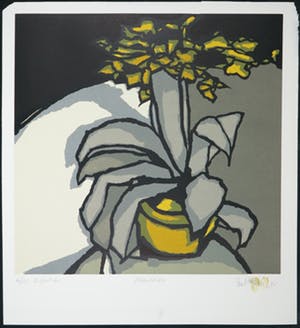 Fon Klement - Boardsnede, Flori fire kopen? Bied vanaf 70!