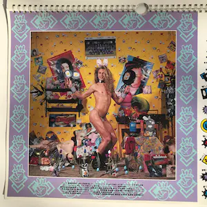 Erwin Olaf - RoXY Pin-Ups Calender kopen? Bied vanaf 80!
