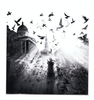 Jurek Nems - Sunrise on Trafalgar Square , London kopen? Bied vanaf 15!
