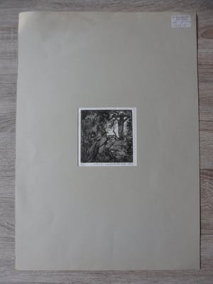 Frits Lindeman - Ets, Titel. "Aangaande het lijden". kopen? Bied vanaf 20!