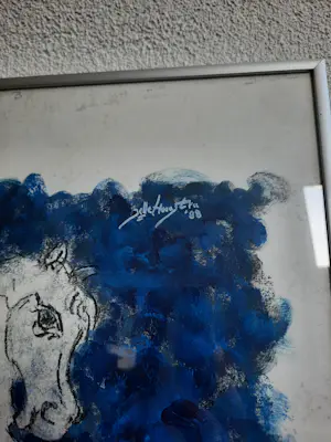 Jelle Hoogstra - Amazone kopen? Bied vanaf 55!