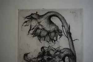 Dirk Baksteen - Ets - Zonnebloem kopen? Bied vanaf 100!