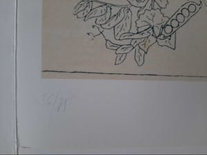 Panamarenko - General Spinaxis, Litho en Collage 2003, handgesigneerd met certificaat kopen? Bied vanaf 799!