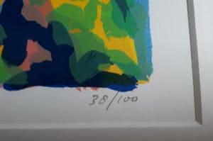 Frank Rosen - La douce Franse "Mosset". kopen? Bied vanaf 50!