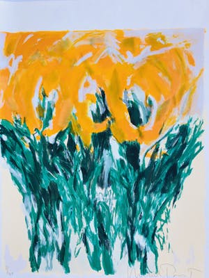 Michel Poort - Tulpen geel kopen? Bied vanaf 45!