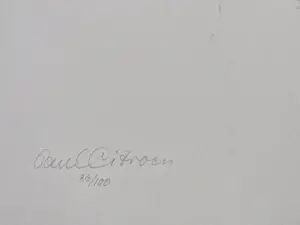 Paul Citroen - Fraaie monochrome Litho: "Lyda" - 1976 - potloodgesigneerd - glmt. oplage (100) kopen? Bied vanaf 36!