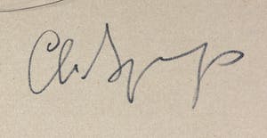 Christine Spierings - Olieverf op doek, Z.t. Rose en geel - Ingelijst (Groot) kopen? Bied vanaf 1!