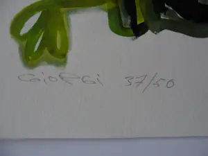 Pauline Bakker - Masterclass Bergen 2016, werk van Pauline Baker, Anna Mes, Erik Tierolf, Giorgi kopen? Bied vanaf 100!