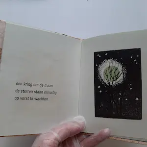 Hans van Draanen - Haiku in duplo kopen? Bied vanaf 60!