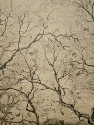 Henri von Rupprecht - Potloodtekening boerderij in bos kopen? Bied vanaf 30!