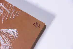 Philip Akkerman - Uitgave van zeefdrukken, De onzichtbare man / The Invisible Man kopen? Bied vanaf 500!